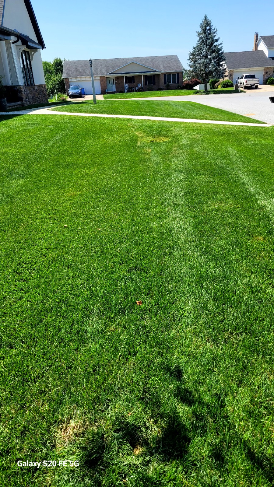 Restored residential lawn in York PA after treating dry patches