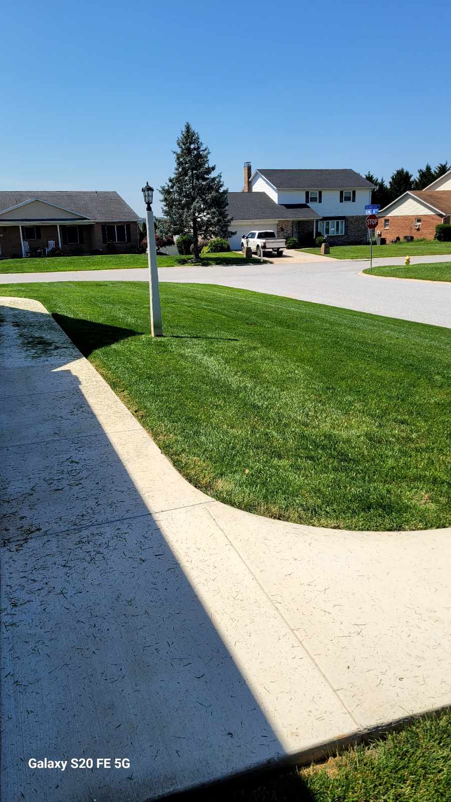 Restored residential lawn in York PA after treating dry patches