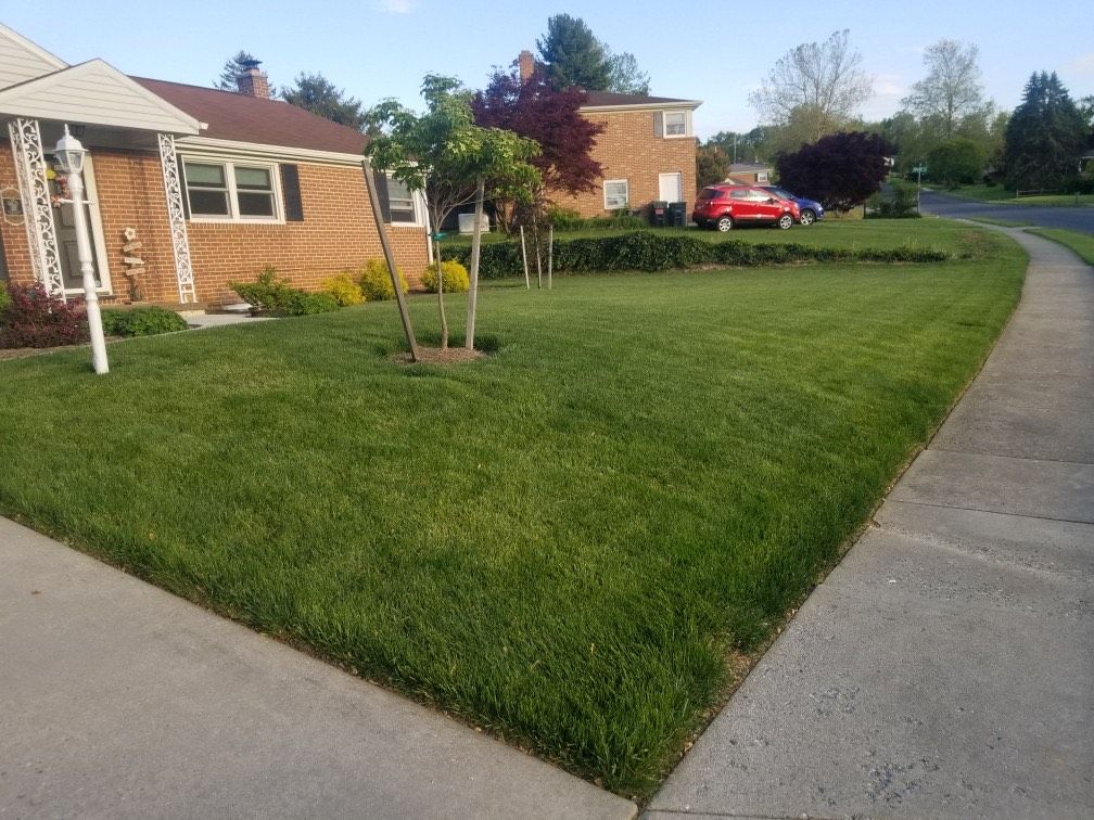 Residential yard in York PA after restoration