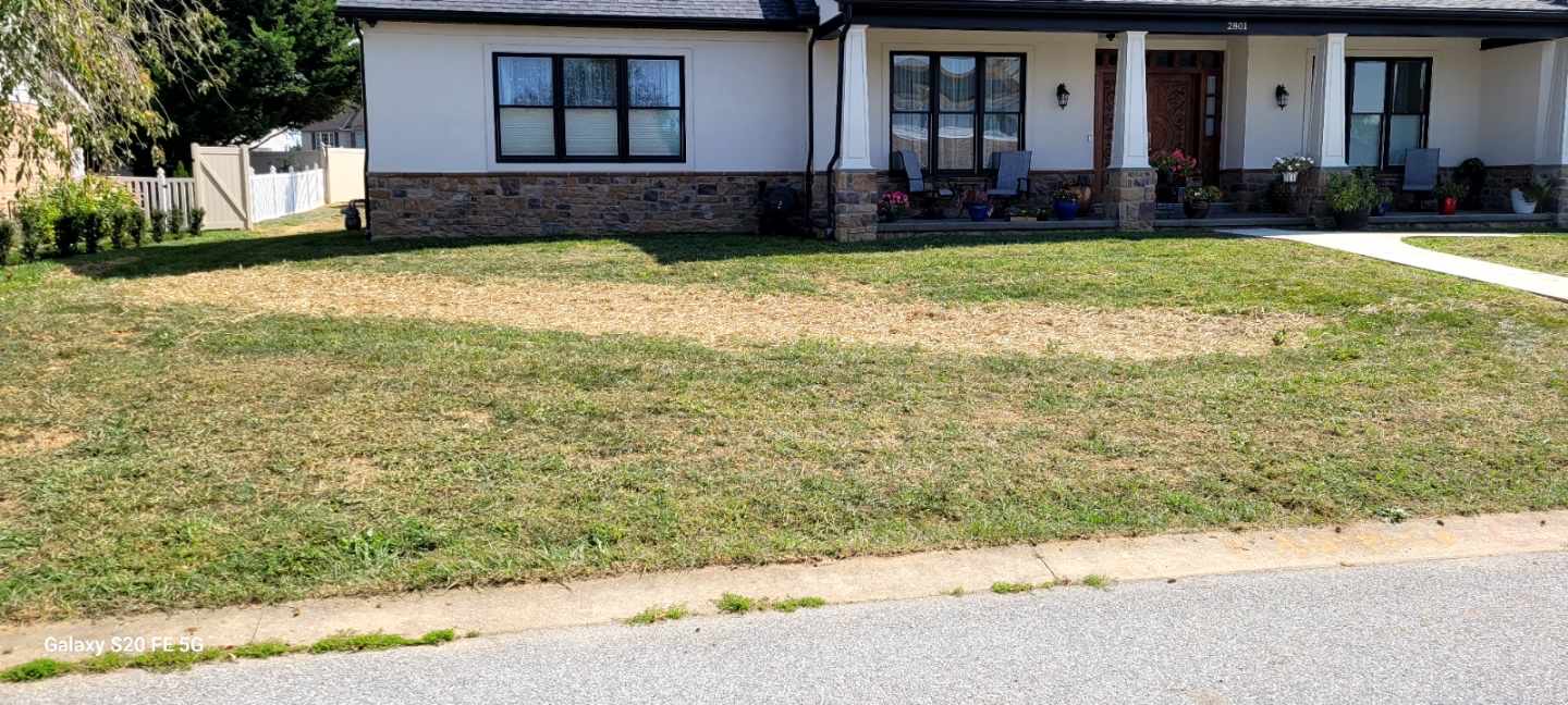 Restored residential lawn in York PA with healthy green grass before treating dry patches