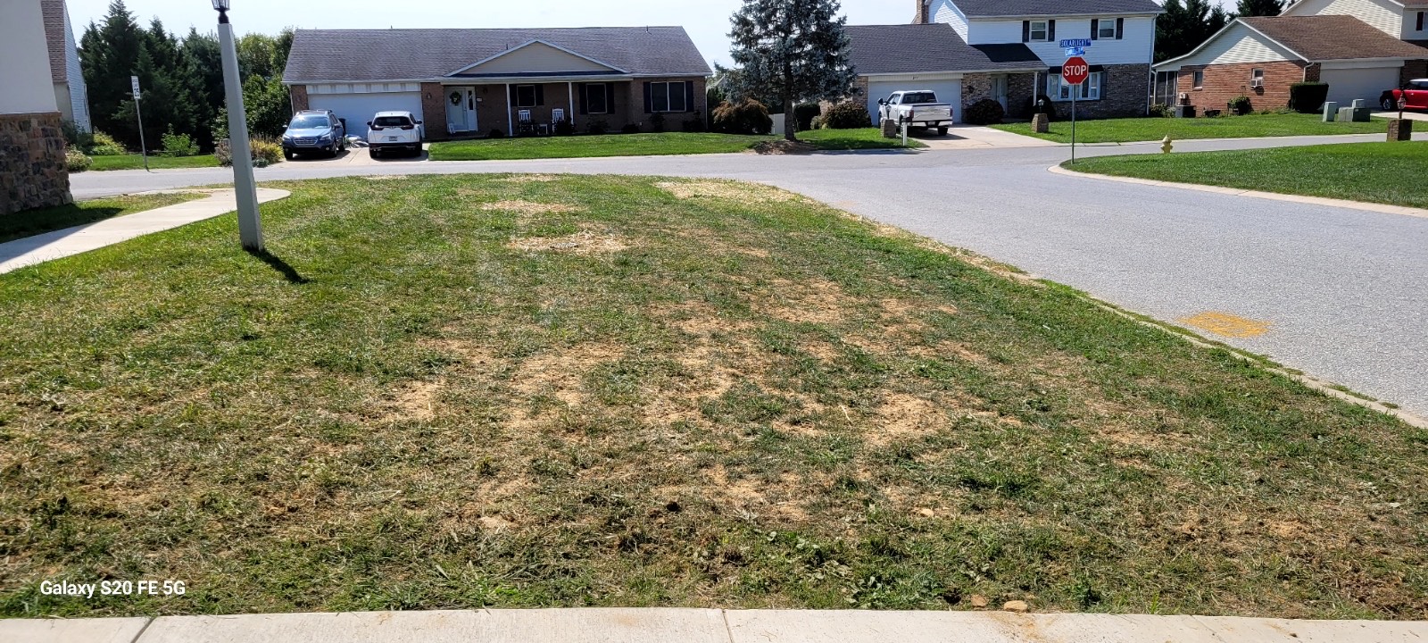 Restored residential lawn in York PA with healthy green grass before treating dry patches