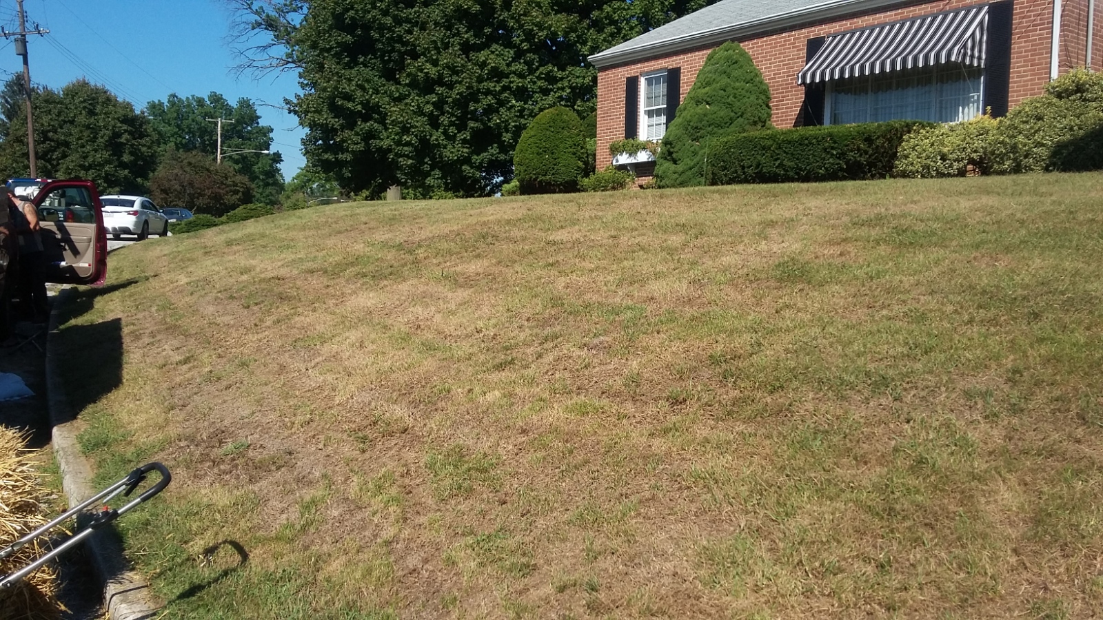 Severely damaged lawn in York, PA showing dry, patchy, and mostly dead grass before restoration began