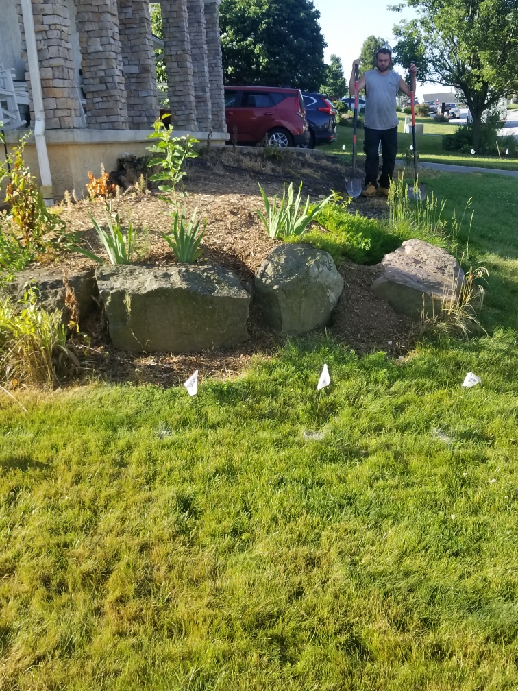 Overgrown garden in York PA with weeds and faded mulch before cleanup