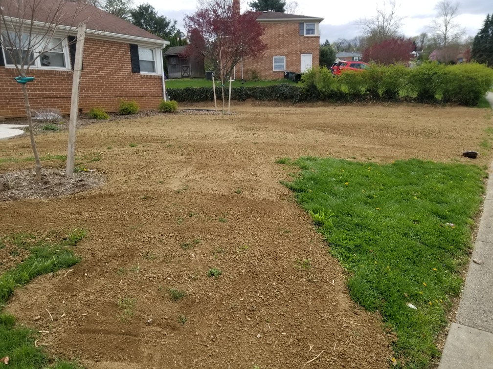 Residential yard in York PA before restoration
