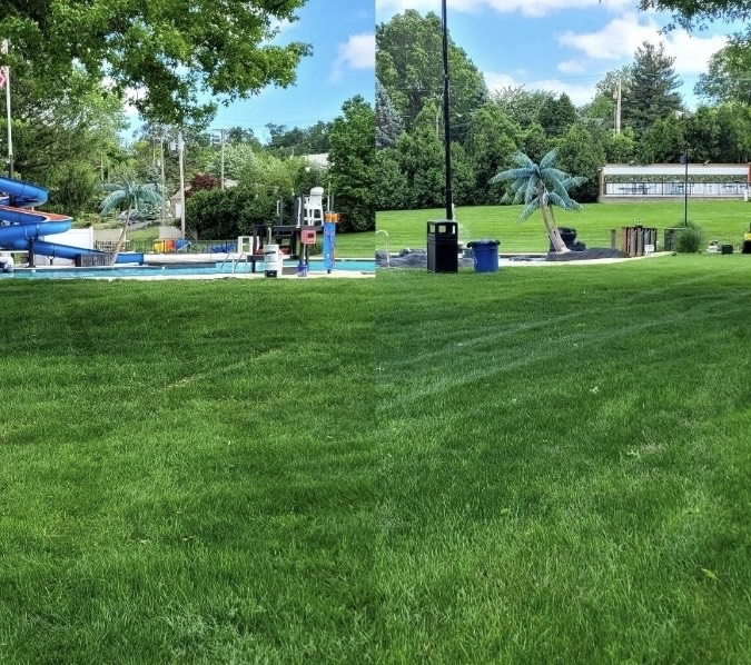Restored green lawn at Wisehaven Pool in York PA after grass renovation and cleanup
