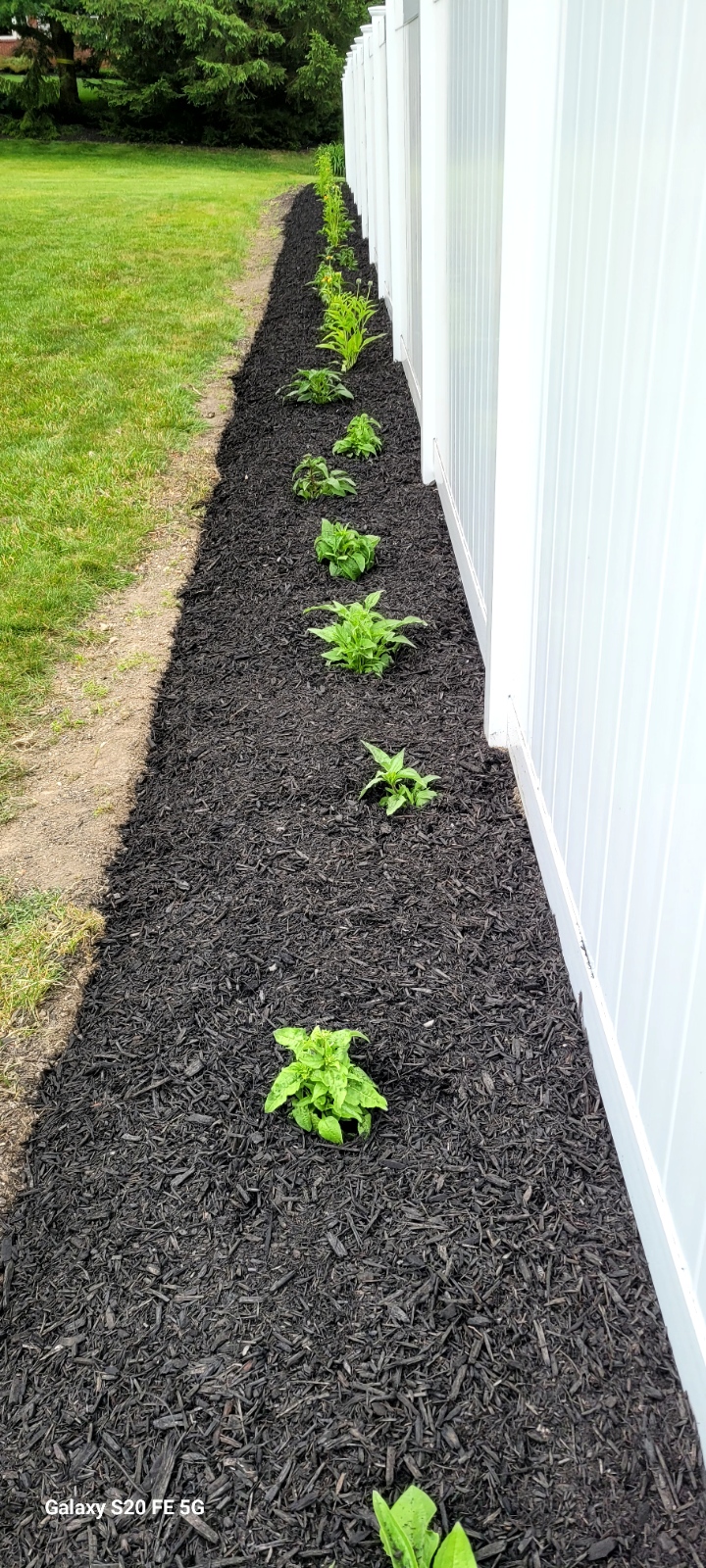 Freshly laid mulch enhancing garden bed in York PA during landscaping service