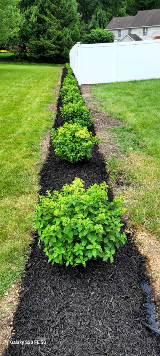 Freshly laid mulch enhancing garden bed in York PA during landscaping service