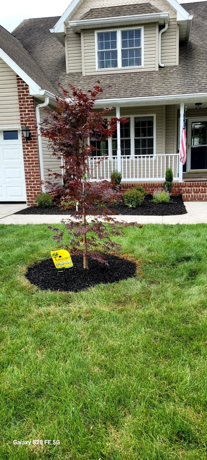 Freshly laid mulch enhancing garden bed in York PA during landscaping service