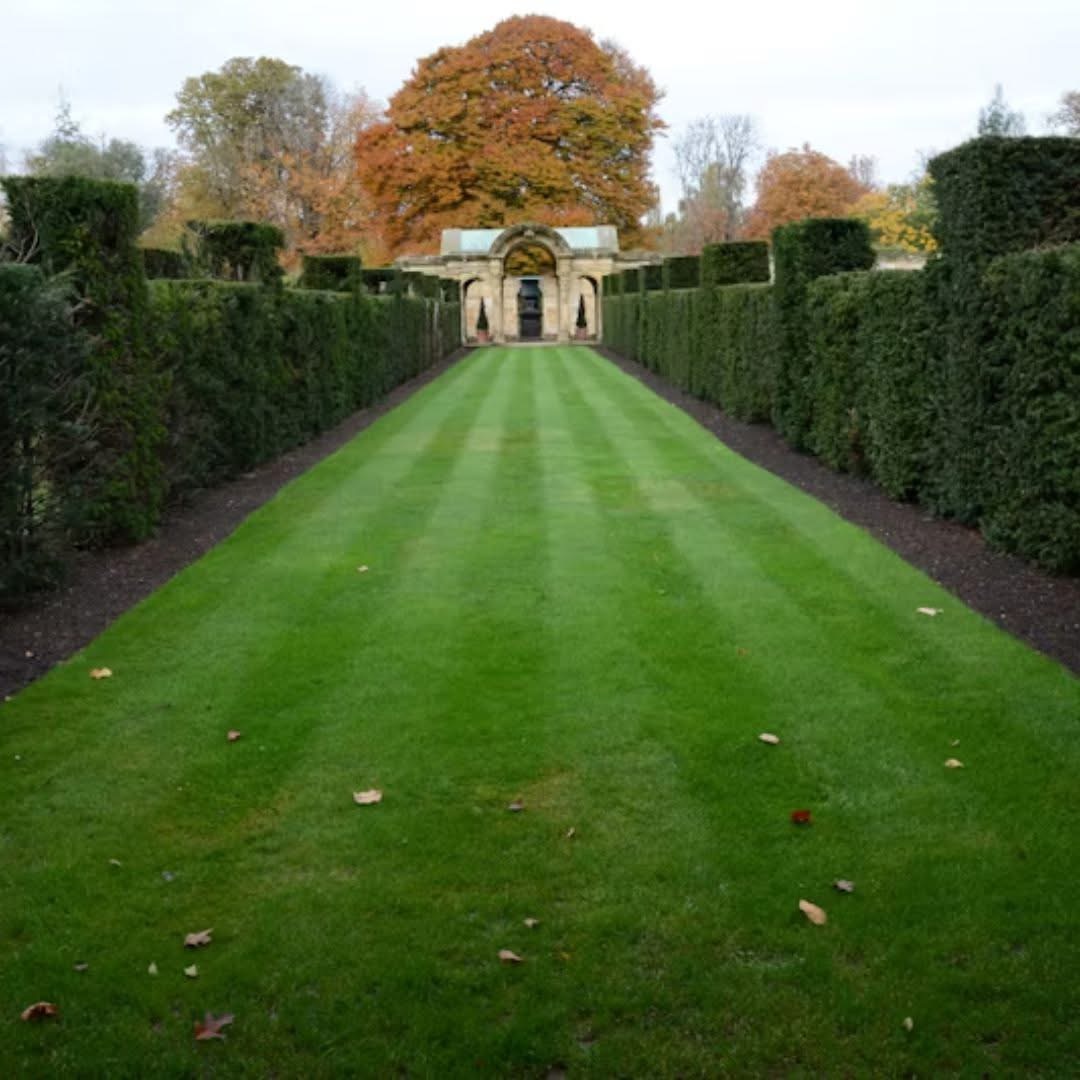 Freshly cut, clean green lawn in York PA after professional mowing service