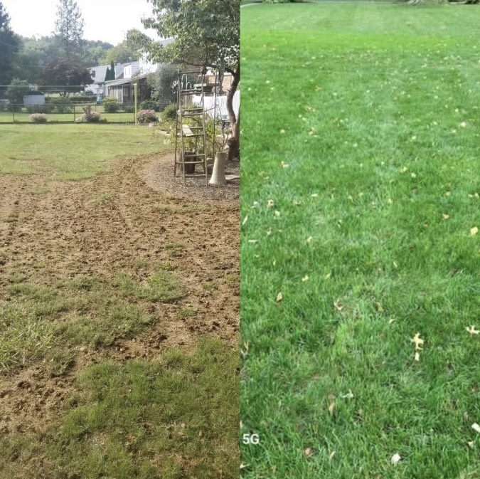 Before and after comparison of lawn restoration in York PA, from muddy yard to lush green grass