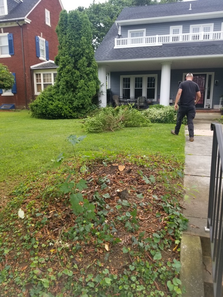 Mulched lawn area in York, PA before renovation